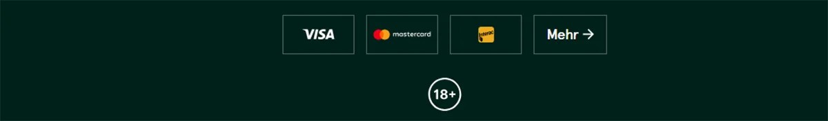 Footer section displaying supported payment methods Visa, Mastercard, and Maestro with a “More” link, alongside an 18+ age restriction icon on a dark green background.