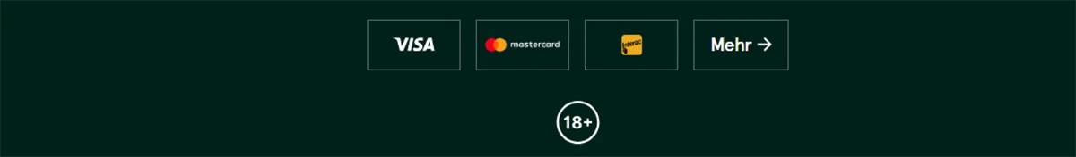 Footer section displaying supported payment methods Visa, Mastercard, and Maestro with a “More” link, alongside an 18+ age restriction icon on a dark green background.